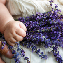 Herbal Baby Care