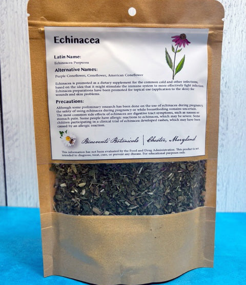 Echinacea (echinacea purpurea)